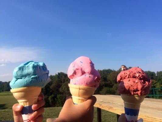 Dinosaur Crunch, Cotton Candy, Midnight Snack.