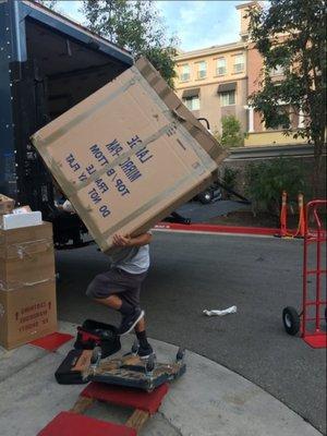 adorable movers