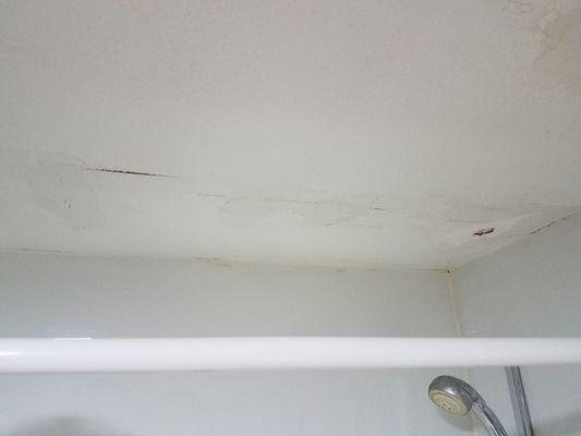 Ceiling issues over shower