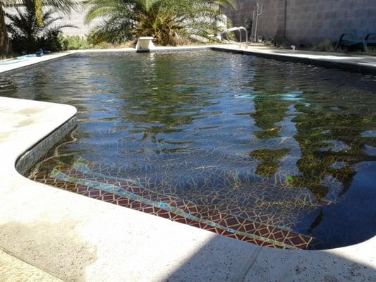 We Care Swimming Pool Service