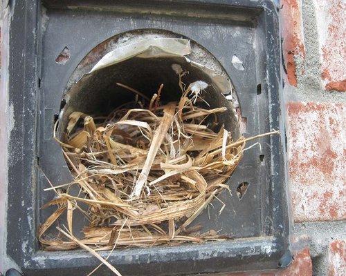 Duct Cleaning