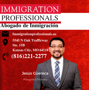 Immigration Professionals