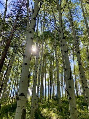 Get out and paly, when you stay at Beaver Creek West. Plenty of hiking options, ask our knowledgeable and long time front desk staff.