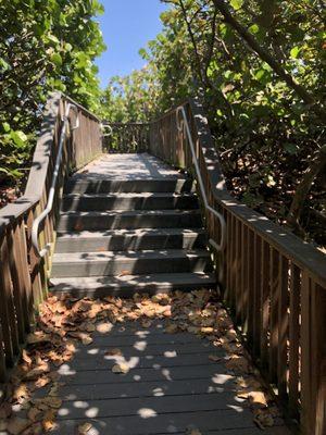 Hobe Sound National Wildlife Refuge