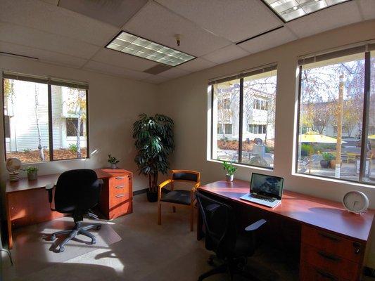 Office space in Marin with Natural Light