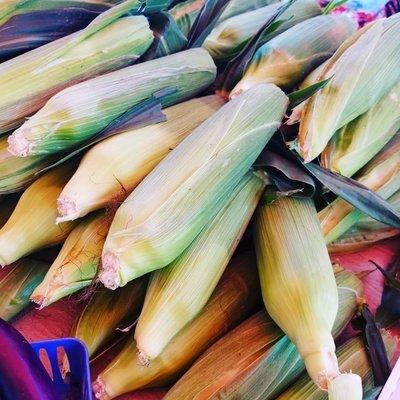 Fresh sweet corn from D3 Farms