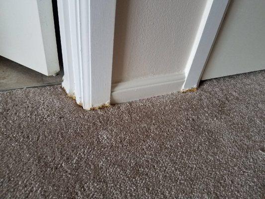 Damage done by carpet installer