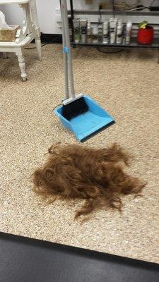 A huge pile of hair. Christina was able to thin out all of the bulk that was weighing me down--both literally and figuratively!