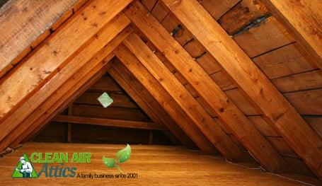 ATTIC CLEANING & SANITIZING