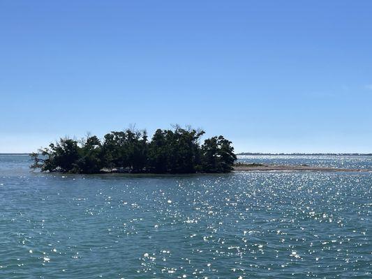 Random island near a sand bar