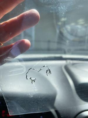 Metal shaving from scouring pad in our food.