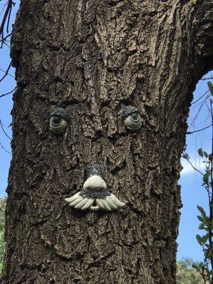 Whimsical tree at the entrance