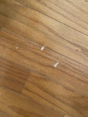 Scratched up laminate floors