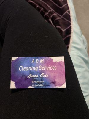 The Cleaning Service