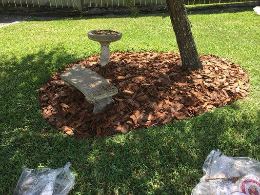 After pine bark mulch installed