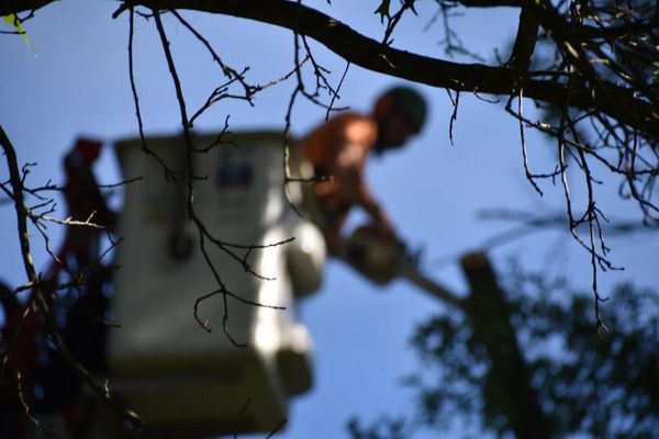 BeaverJack Tree Service, LLC