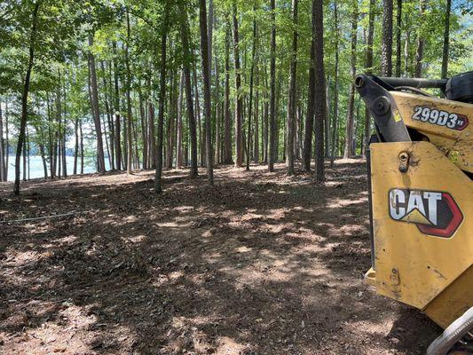 Carolina Reds Mulching