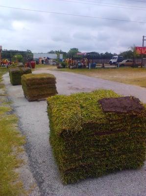 We sell SOD by the pallet all type of turf-grasses. Call us now 512-902-9170