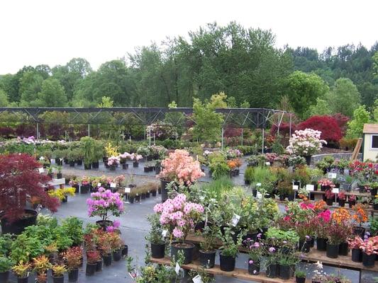 Creekside Treasures Farm & Nursery