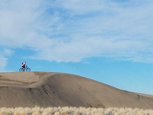 Biking on the Dunes. photo credit: Alan Grubb