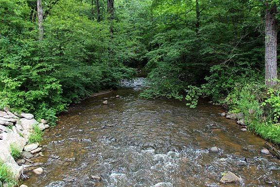 The trout stream has very clean water.