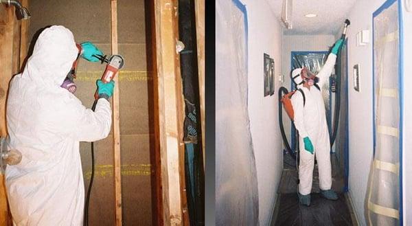 O C Mold Remediation Research Dept