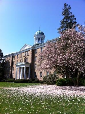 Brown Hall in the spring.