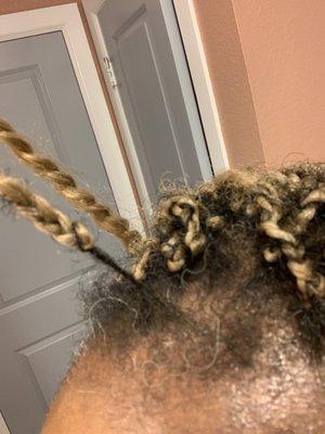 My braids after 1 1/2 weeks approaching 2 week.