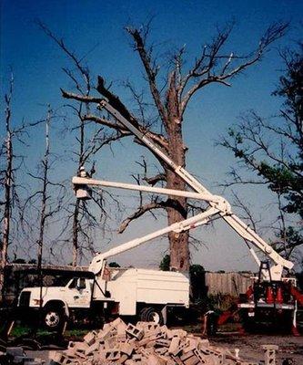 Dave's Tree Surgeon's, Inc