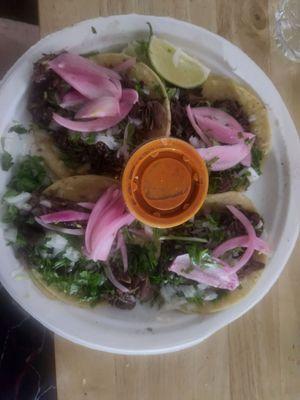 Birria tacos