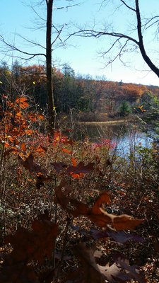 Morey Pond Dam