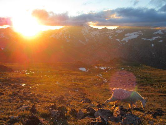 Locals enjoying the sunset on the Froze-to-Death Plateau