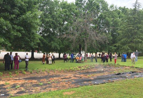 Community Garden