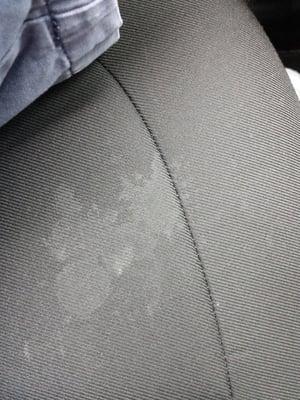 Unknown drivers seat stain.