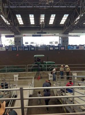 Photo taken 10/12/2014 - (#2) tractor (rodeo's version of a Zamboni)