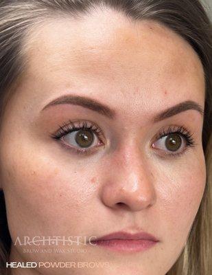 healed powder brows