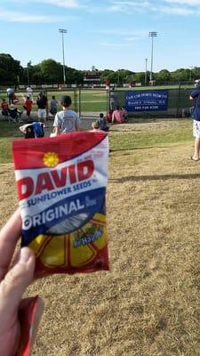 Sunflower seeds and beautiful weather