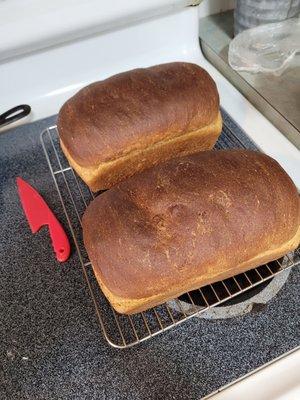 Sandwich Bread