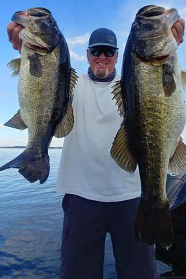 Gator with a couple lake Toho biggins