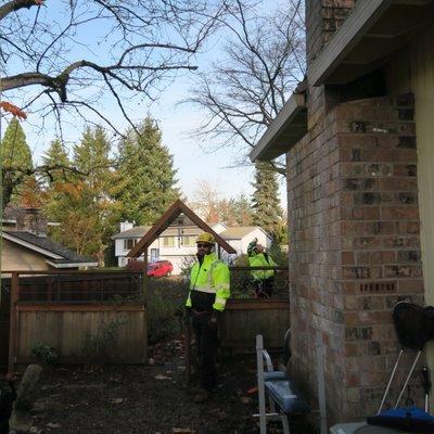 Arborist in Tualatin setting up safety measures for ground operations.