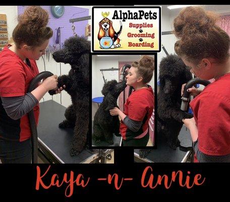 Kaya - one of our Groomers - pampering a fur client.