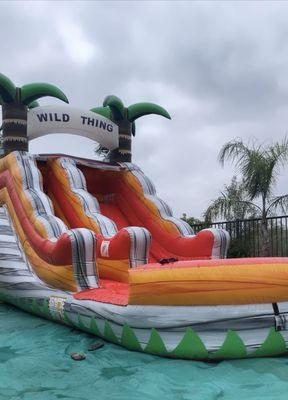 Wild thing water slide