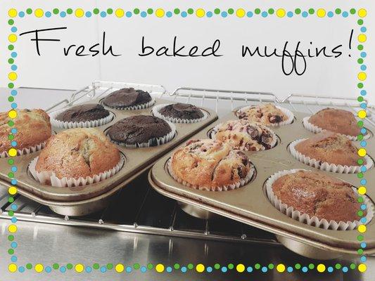 We offer blueberry, chocolate, cranberry almond, and banana nut muffins!