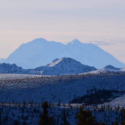 Denali Shuttle