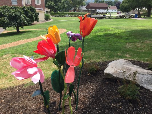 Sculptural tulips