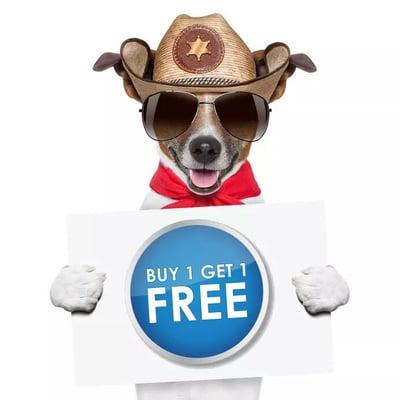 For our New Bark Avenue Play & Stay Roseville Customers!  Buy 1 day of daycare and get 1 day free!