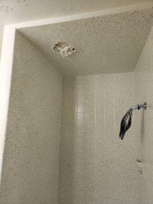 Shower surround and ceiling.