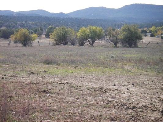 4.90 acres -- Sold January 2013