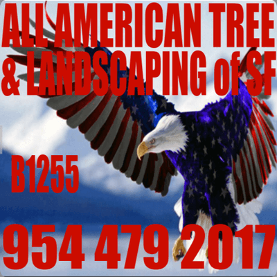 All American Tree Services & Landscaping of South Florida Inc