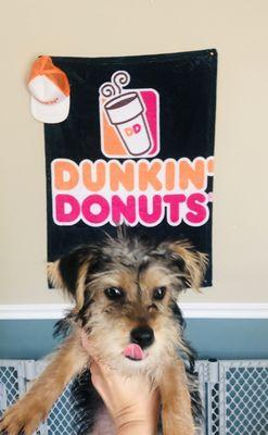 Dunkin